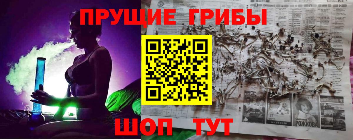 Псилоцибиновые грибы MAGIC MUSHROOMS  Галлюциногенные грибы Cubensis  Фрязино  Вход с VPN 