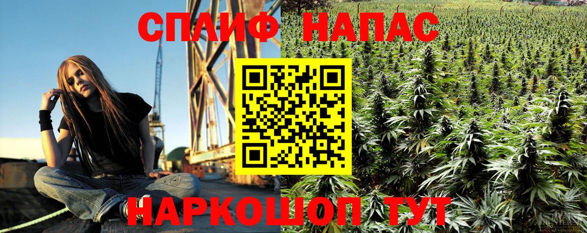 Фрязино  Марихуана ГИДРОПОН  Каннабис OG Kush  Конопля OG Kush  Вход с VPN 